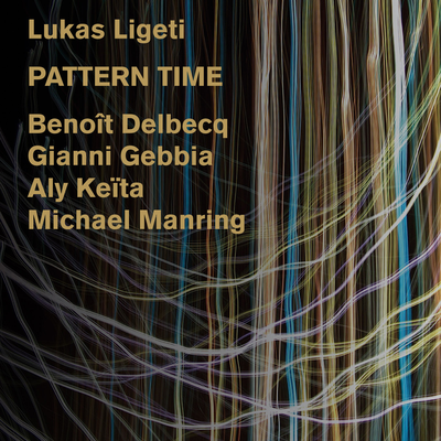 Translucent Dust By Lukas Ligeti, Michael Manring, Gianni Gebbia, Aly Keita, Benoît Delbecq's cover