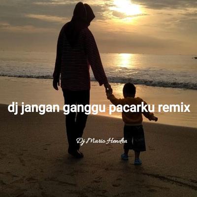 Dj Jangan Ganggu Pacarku Remix's cover