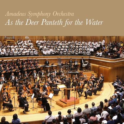 Amadeus Symphony Orchestra's cover