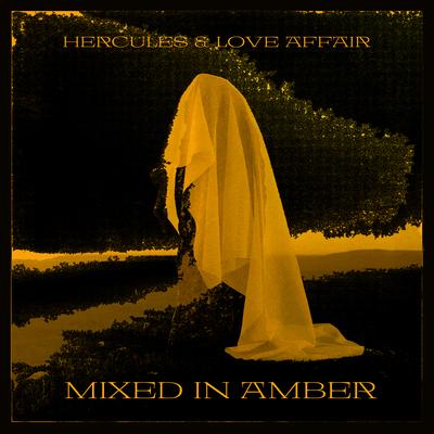 Mixed In Amber's cover