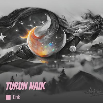 Turun Naik's cover