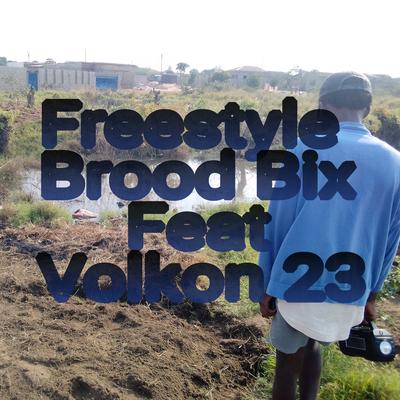 Brood Bix's cover