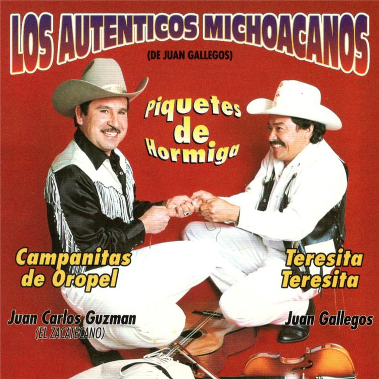 Los Autenticos Michoacanos's avatar image