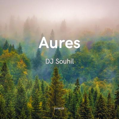 DJ Souhil's cover