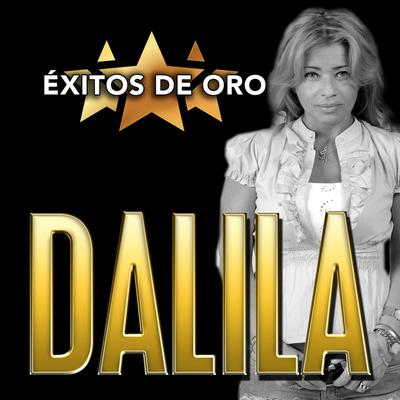 Éxitos de Oro's cover