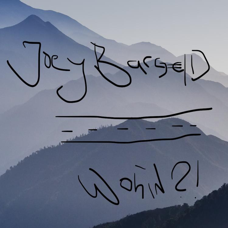 Joey Bargeld's avatar image