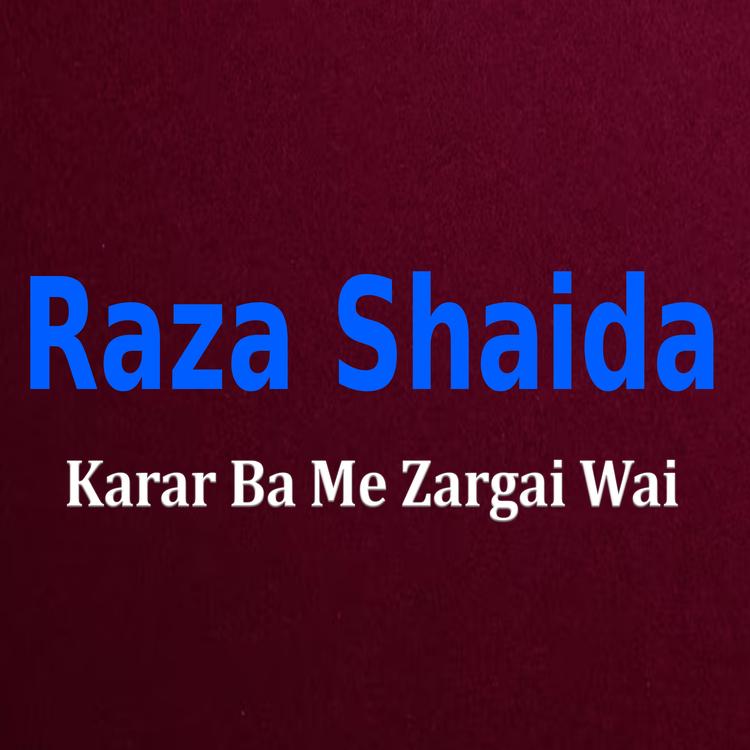 Raza Shaida's avatar image