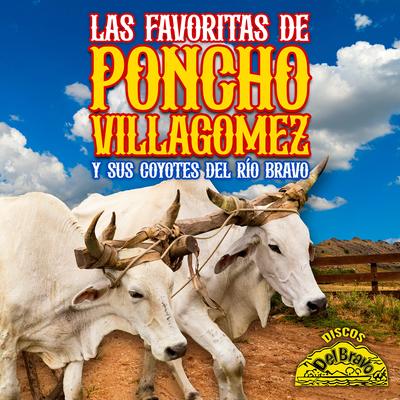 Poncho Villagomez y Sus Coyotes del Rio Bravo's cover