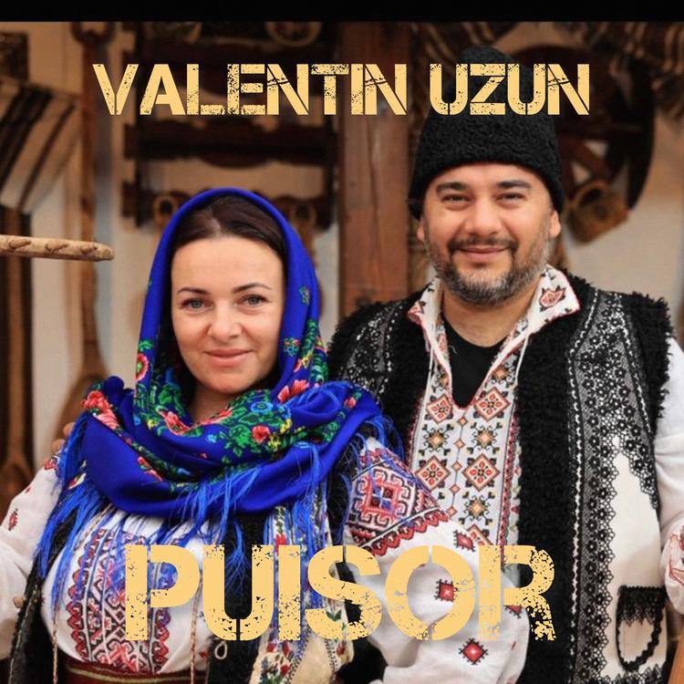 Valentin Uzun's avatar image