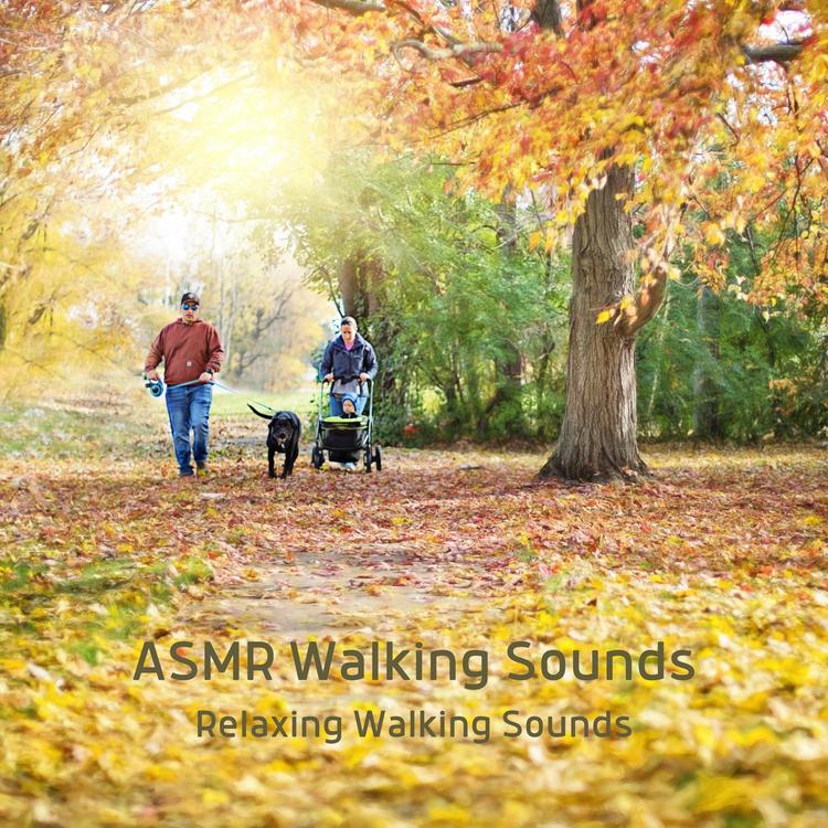 ASMR Walking Sounds's avatar image