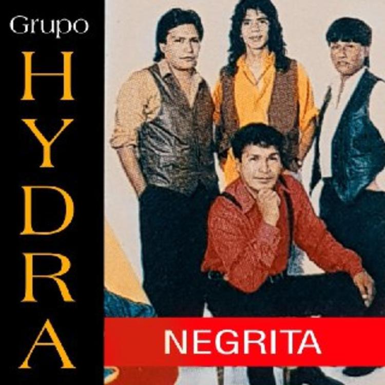 Grupo Hydra's avatar image