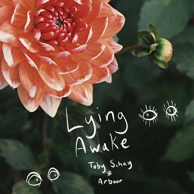 Lying Awake By toby schay, Arbour's cover