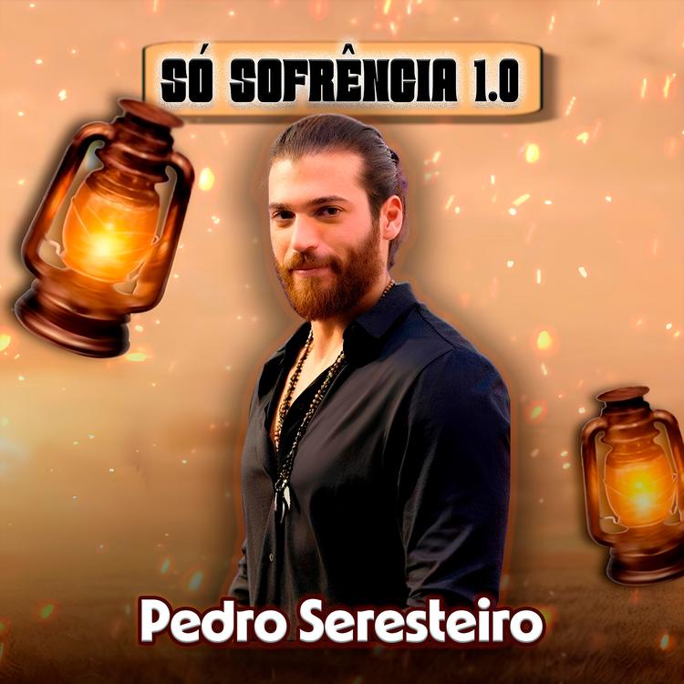 Pedro Seresteiro's avatar image