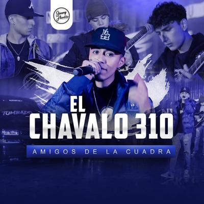 El Chavalo 310's cover