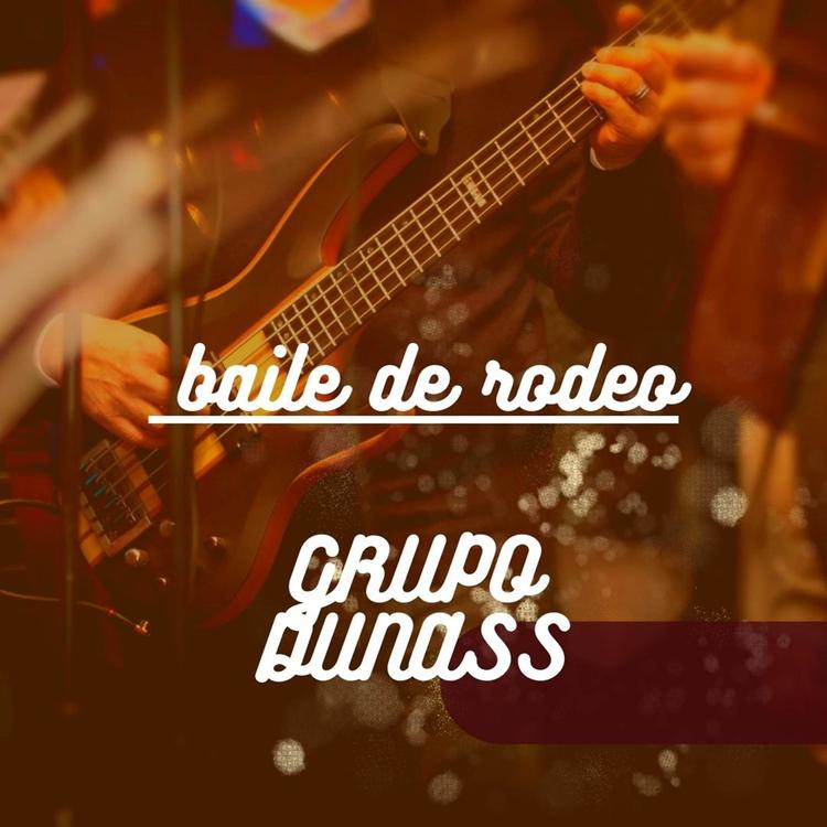 Grupo Dunass's avatar image