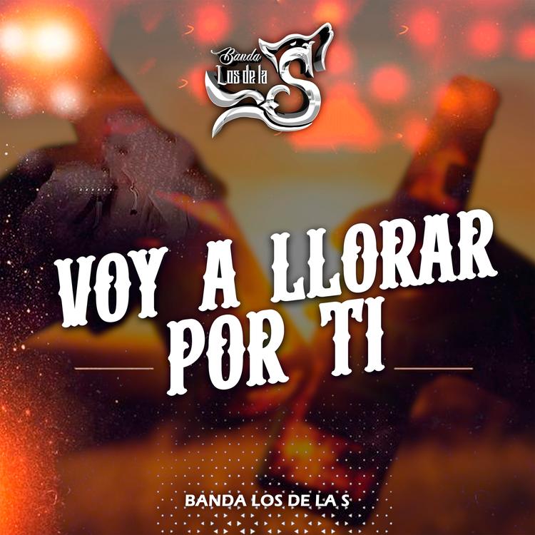Banda Los de la S's avatar image