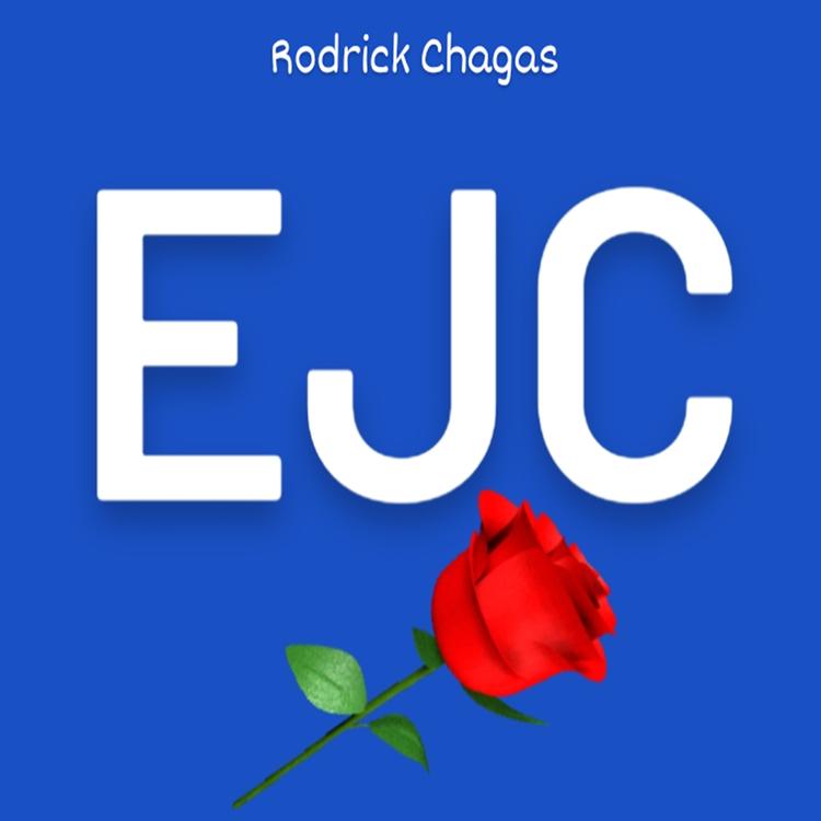Rodrick Chagas's avatar image