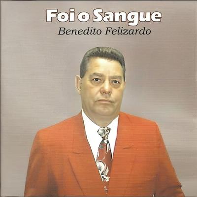 Você Precisa Conhecer By Benedito Felizardo's cover