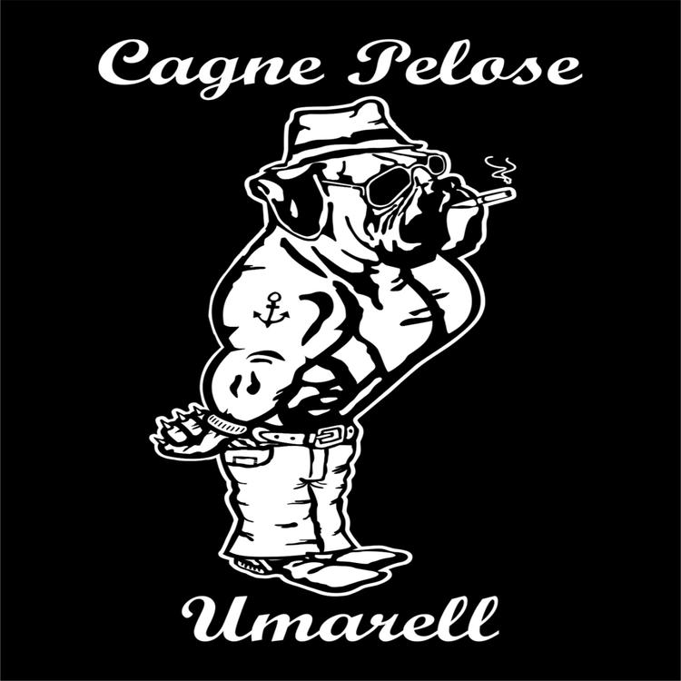 Cagne Pelose's avatar image