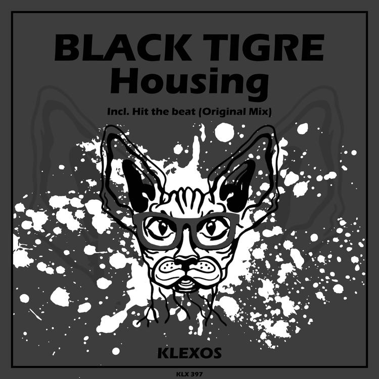 BLACK TIGRE's avatar image