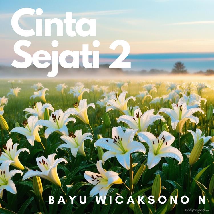 Bayu Wicaksono N's avatar image