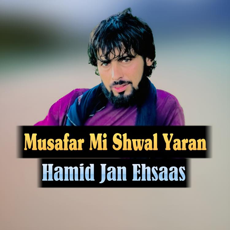 Hamid Jan Ehsaas's avatar image