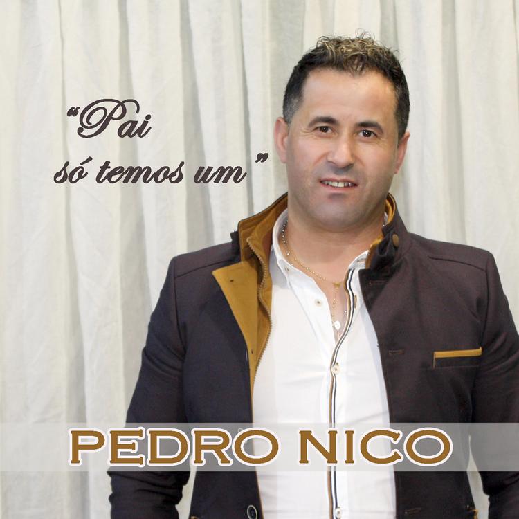 Pedro Nico's avatar image