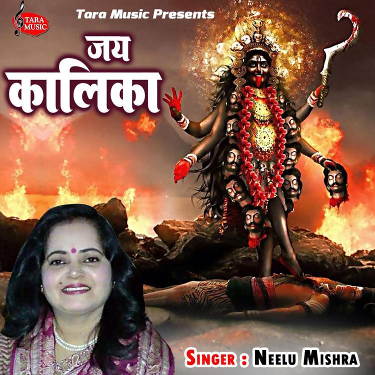 Neelu Mishra's avatar image