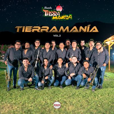 Tierramanía, Vol. 2 (Live)'s cover