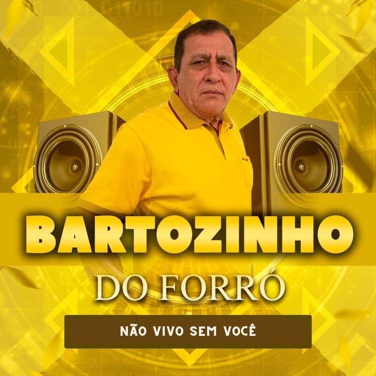 Bartozinho do Forró's avatar image