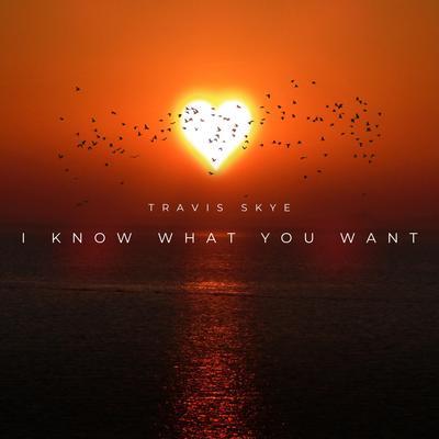 I Know What You Want By Travis Skye's cover