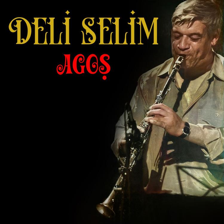 Deli Selim's avatar image