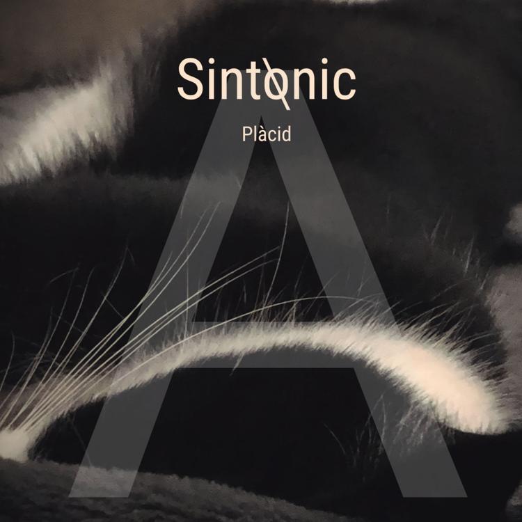 Sintonic's avatar image