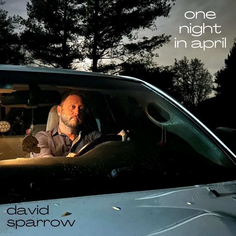 David Sparrow's avatar image