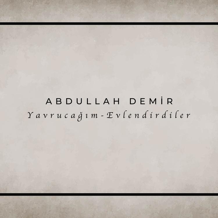 Abdullah Demir's avatar image