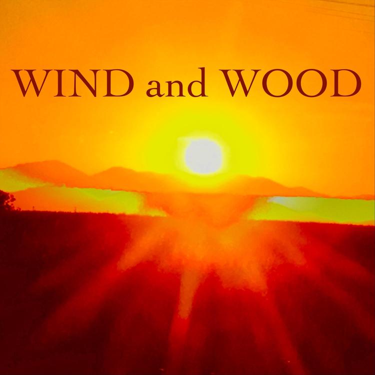 Wind and Wood's avatar image