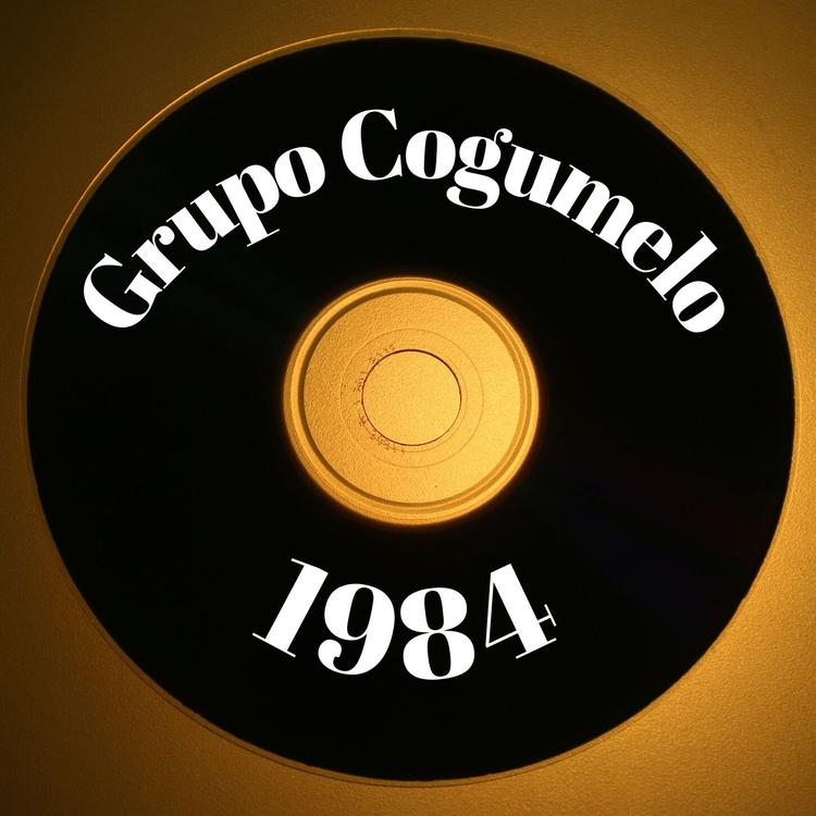 Grupo Cogumelo's avatar image