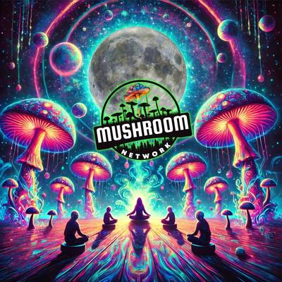 Mushroom Moon's cover