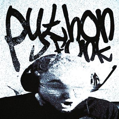 PYTHON FUNK By RD12, Sayfalse's cover