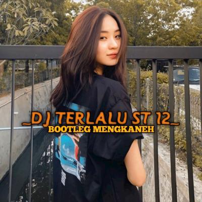 Dj Terlalu St 12 Bootleg Mengkaneh INS's cover