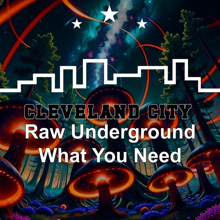 Raw Underground's avatar image