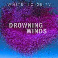 White Noise TV's avatar cover