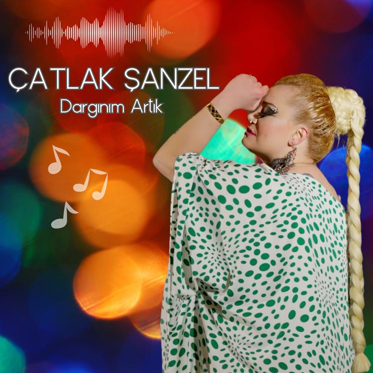 Çatlak Şanzel's avatar image