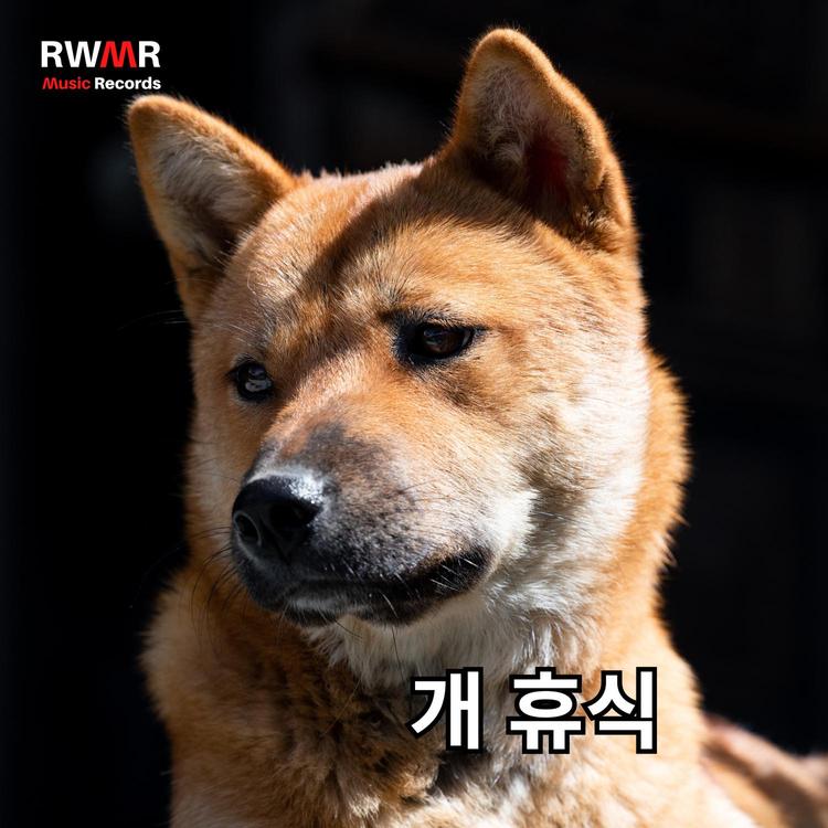 RW 게으른 개's avatar image