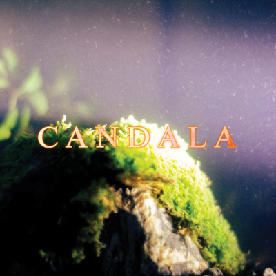 Candala's cover