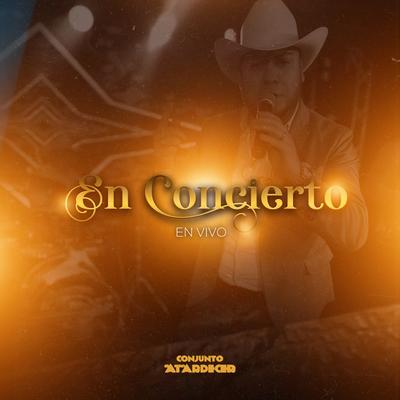 En Concierto (En Vivo)'s cover
