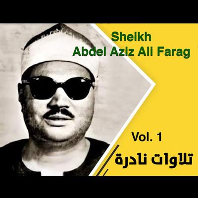 Sheikh Abdel Aziz Ali Farag's cover