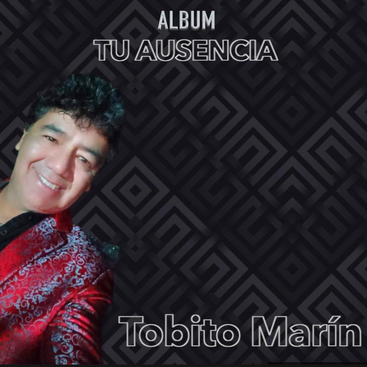 Tobito Marin's avatar image