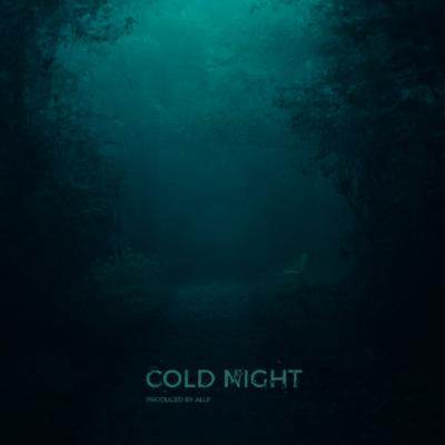 Cold Night By ALLP's cover