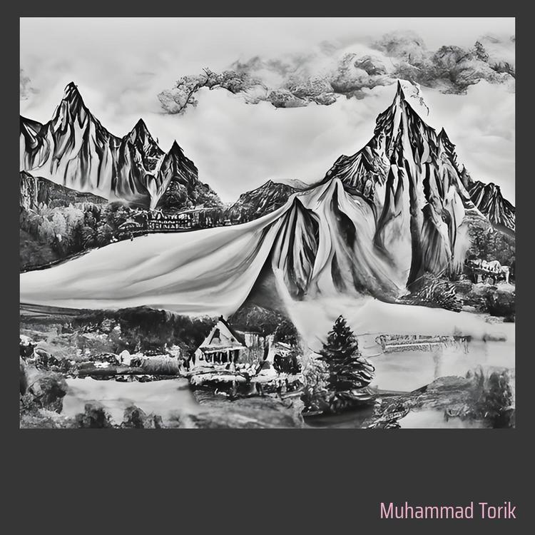 Muhammad Torik's avatar image